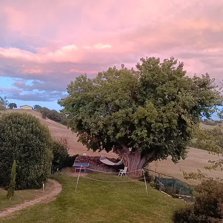 Appartement Casa Dei Sogni D'oro San Pietro (Ancona)